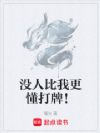 没人比我更懂打牌!